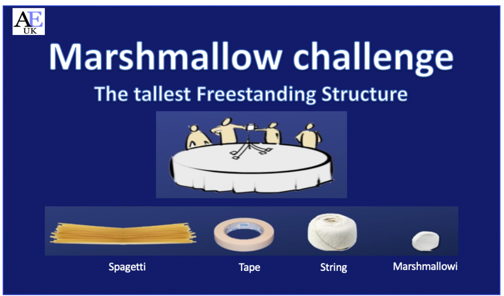 Teamwork & teambuilding / the Marshmallow Challenge