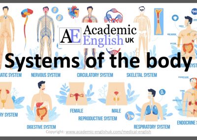 Systems of the body